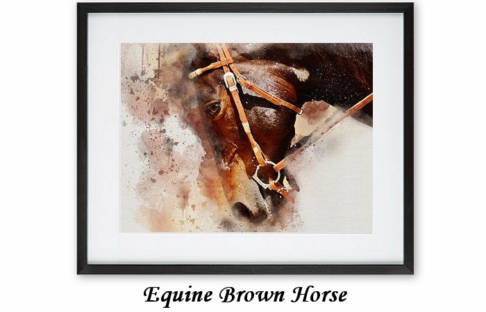 Equine Brown Horse Framed Print